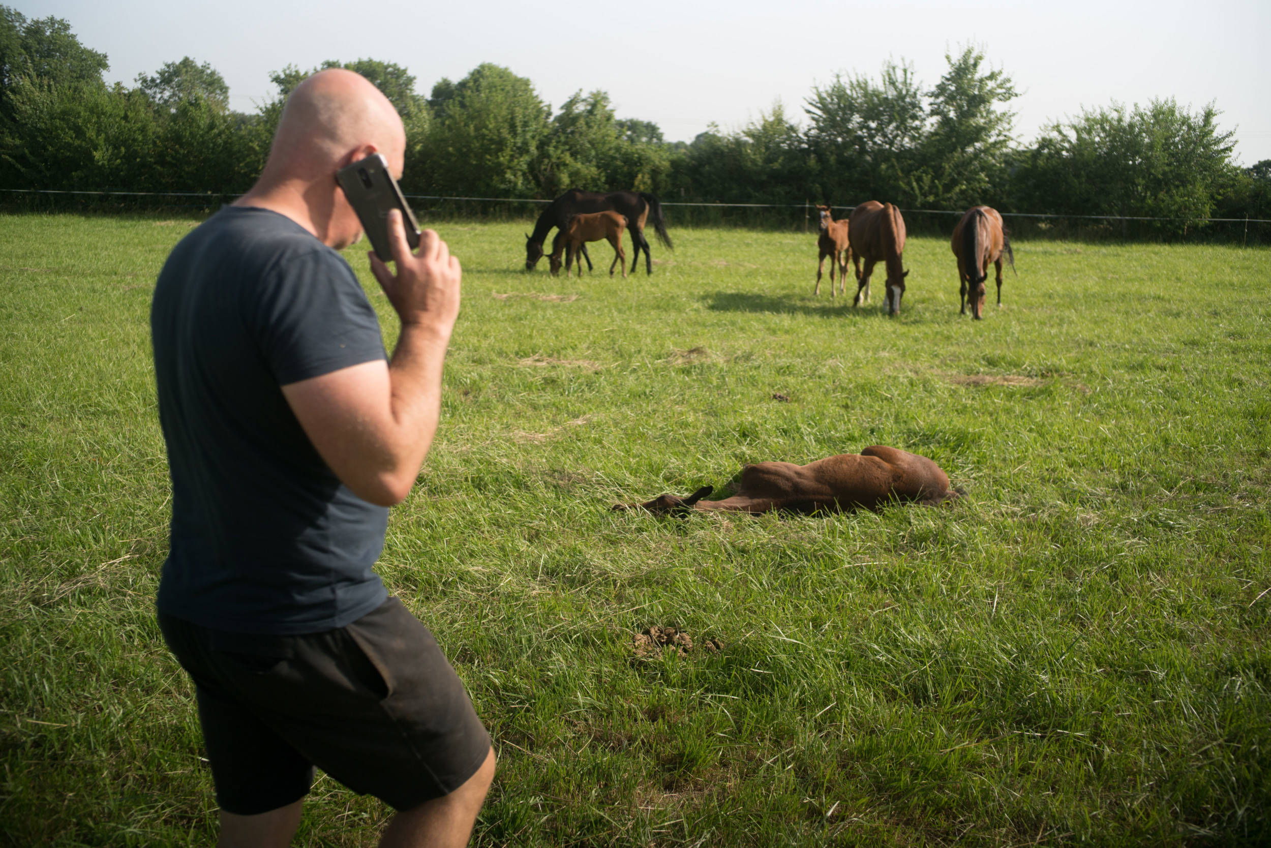 David Giraudeau marche dans un champ, le téléphone porté à son oreille. On aperçoit des chevaux et des poulains dans un pré, et un poulain étendu dans l'herbe devant David.