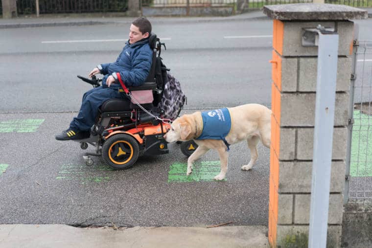 Edouard, sur son fauteuil, avance sur une piste cyclable en compagnie de son chien-guide