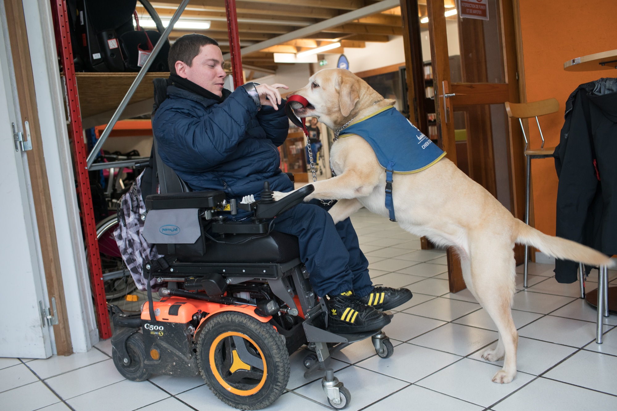 Le chien guide, appuyé sur les genoux d'Edouard, lui tend la laisse entre ses crocs